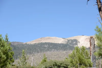 DSC_3818 (Large).JPG